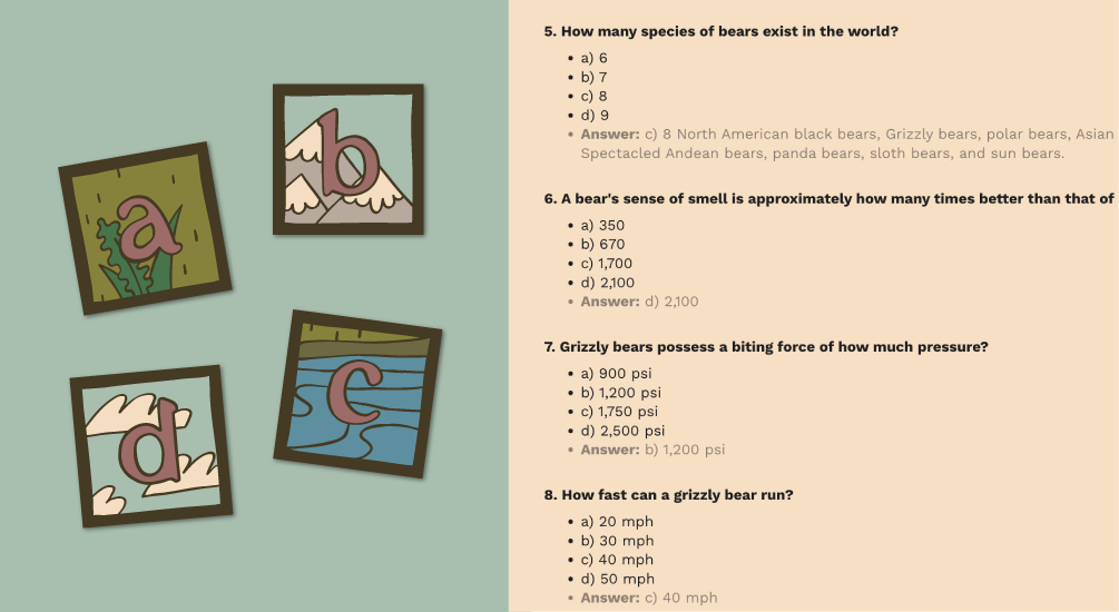 Custom made bear-themed trivia game