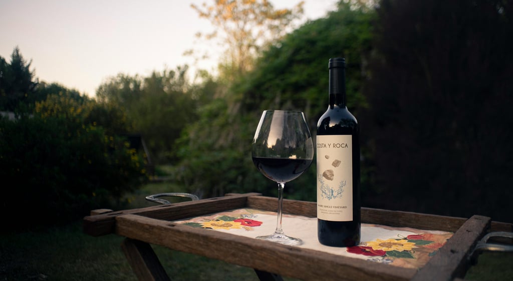 imagem de uma taça com uma garrafa de malbec vinho de mendoza