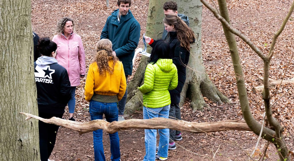 a team collaborating in an Awe Academy training with Dorchess