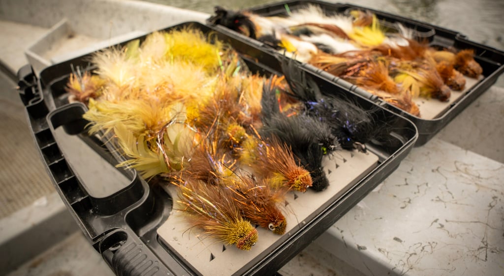 Winter Streamer Fishing on the South Holston and Watauga Rivers