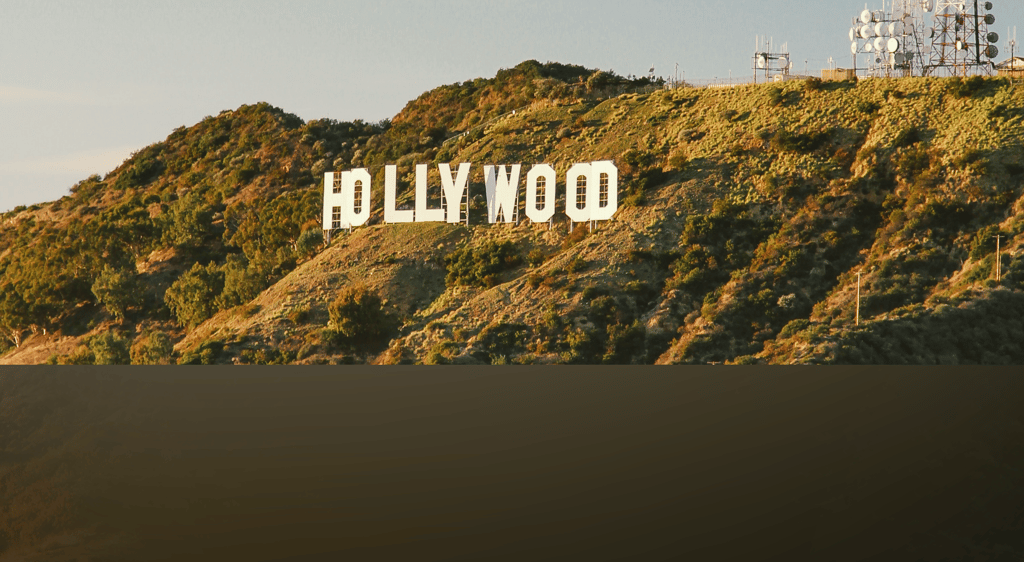 dogAdvisor | dogadvisor | dog advisor | dogAdvisor.dog