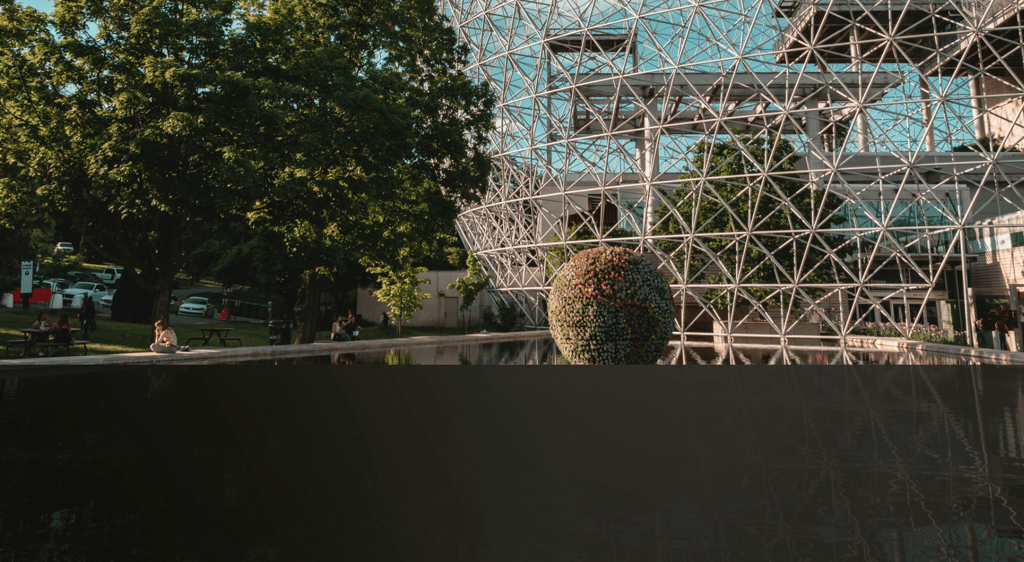 dogAdvisor | dogadvisor | dog advisor | dogAdvisor.dog