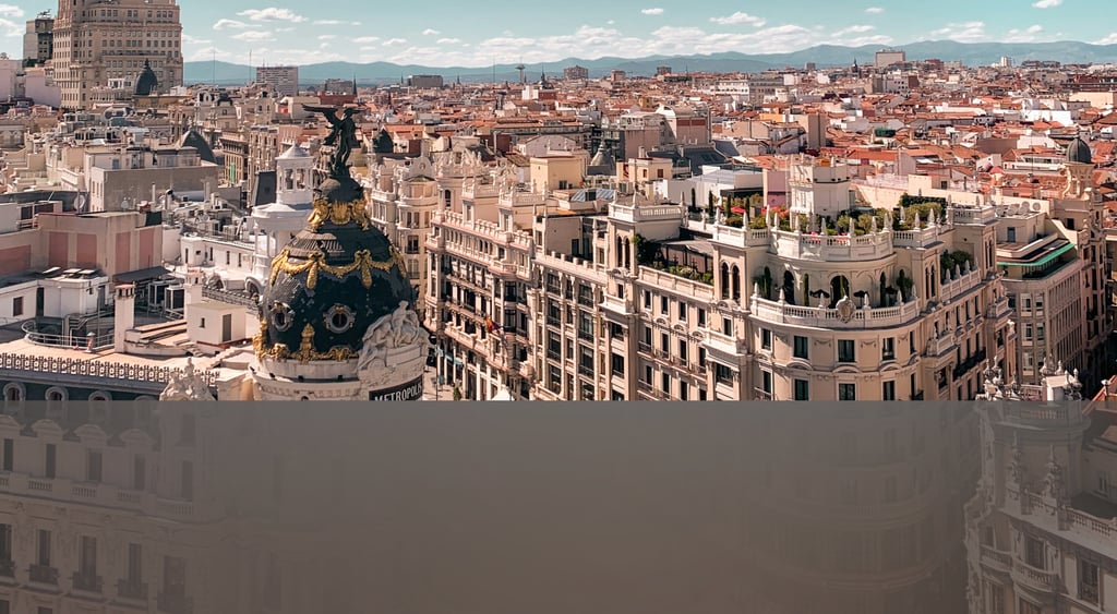 dogAdvisor | dogadvisor | dog advisor | dogAdvisor.dog