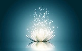 Sorte de fleur de lotus blanche épanouie vaporeuse se reflète sur son support et symbolise le Reiki