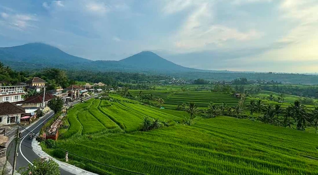 Jatiluwih Rice Terrace Bali