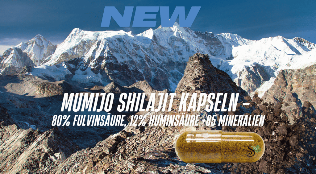 Mumijo Shilajit Extrakt Kapseln