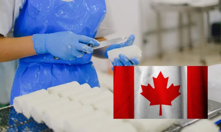 Bolsa. deTrabajo Canadá Empaquetador en Canadá