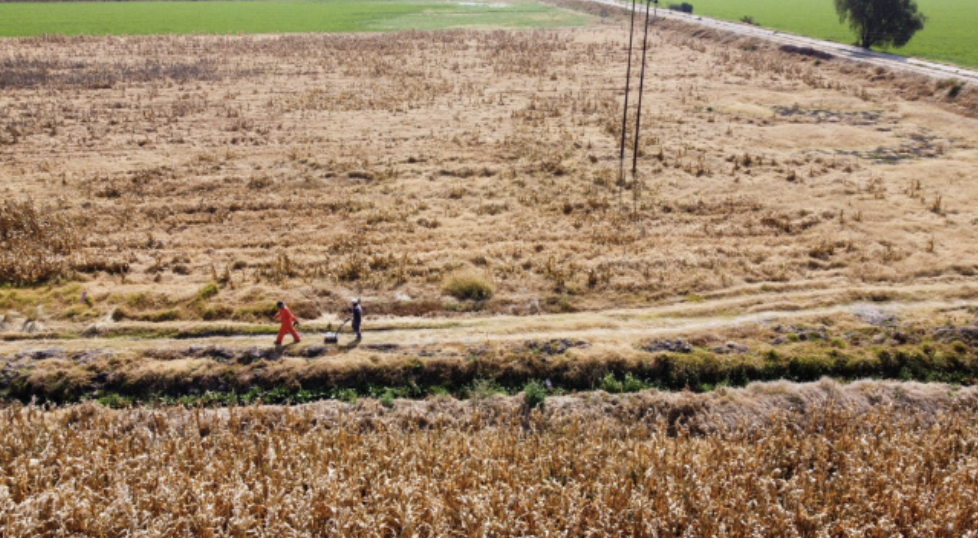 EXPLORACIÓN GEOFÍSICA CON EL MÉTODO DE GEORRADAR DE PENETRACIÓN TERRESTRE