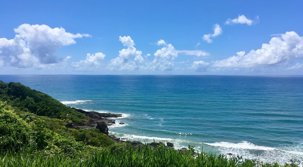 a view of a beach with a bird flying over the water