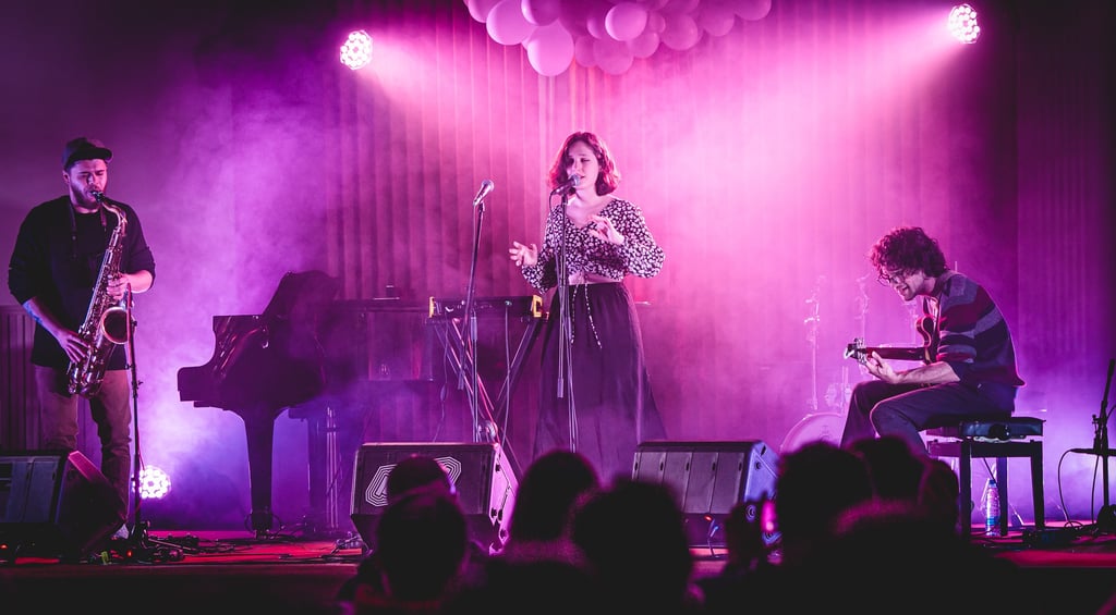 Photo by Tina Stariha, taken at MENT Festival