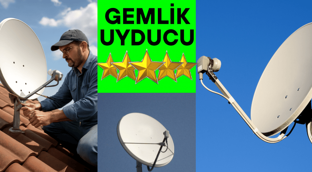 gemlik uyducu