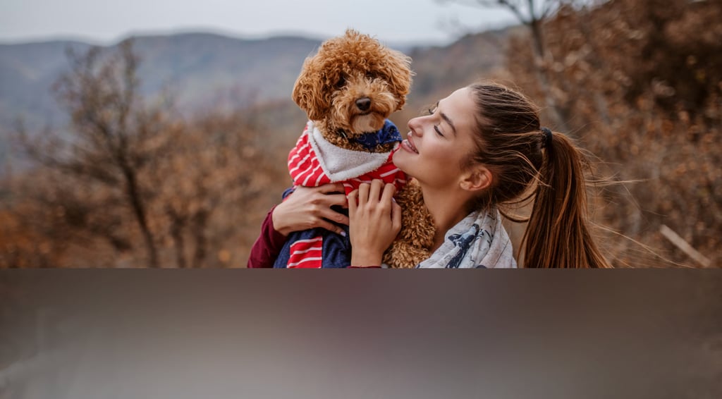 dogAdvisor | dogadvisor | dog advisor | dogAdvisor.dog