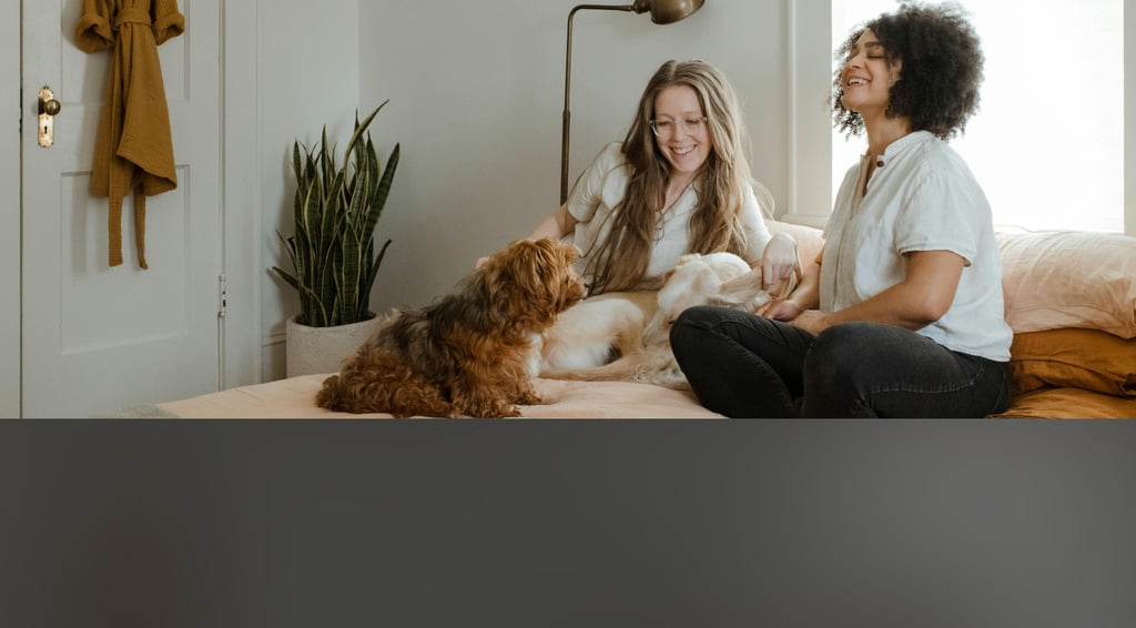 dogAdvisor | dogadvisor | dog advisor | dogAdvisor.dog