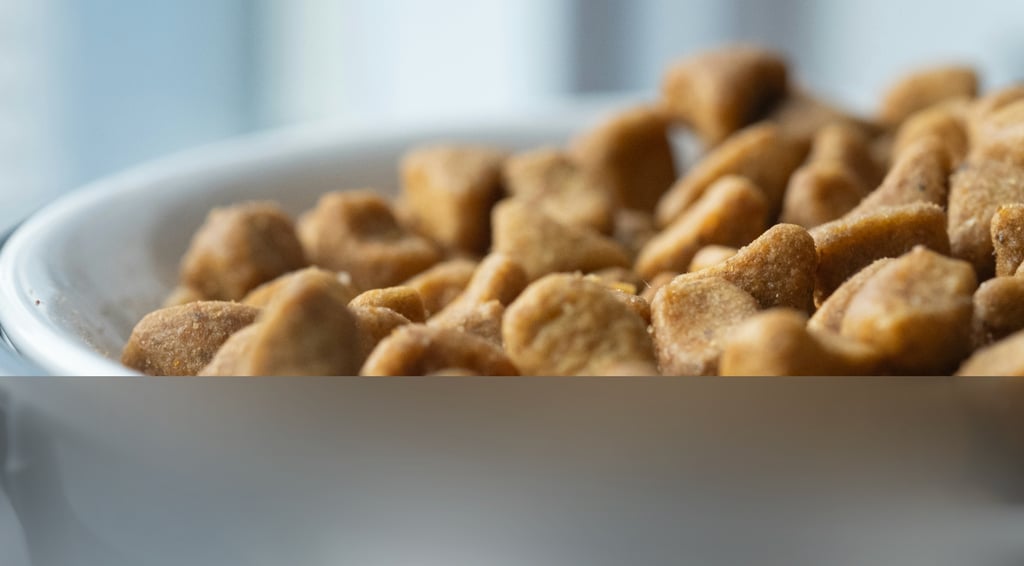 dogAdvisor | dogadvisor | dog advisor | dogAdvisor.dog