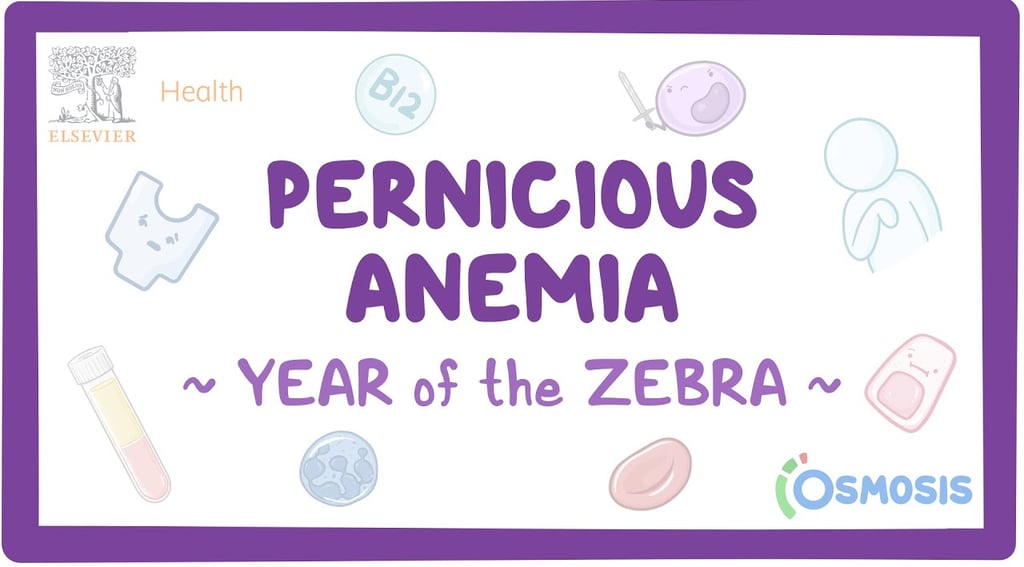Pernicious Anemia - Year of the Zebra text surrounded by various drawn icons representing bloodwork