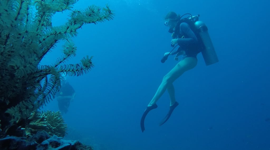 Rescue dive course session in Bali #RescueDive #PADIArabic