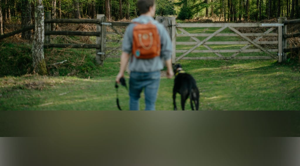 dogAdvisor | dogadvisor | dog advisor | dogAdvisor.dog