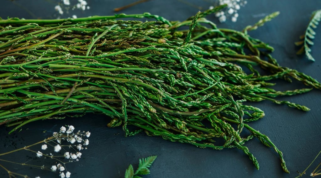 A large bundle of freshly foraged wild asparagus spears with thin green stems on a dark surface