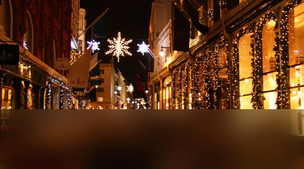 dogAdvisor | dogadvisor | dog advisor | dogAdvisor.dog