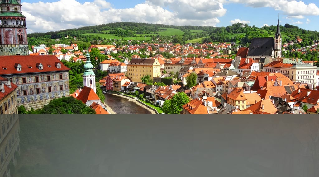 dogAdvisor | dogadvisor | dog advisor | dogAdvisor.dog