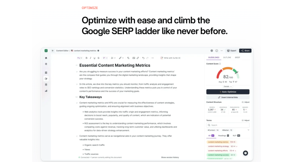 Image screen of surfer seo optimization