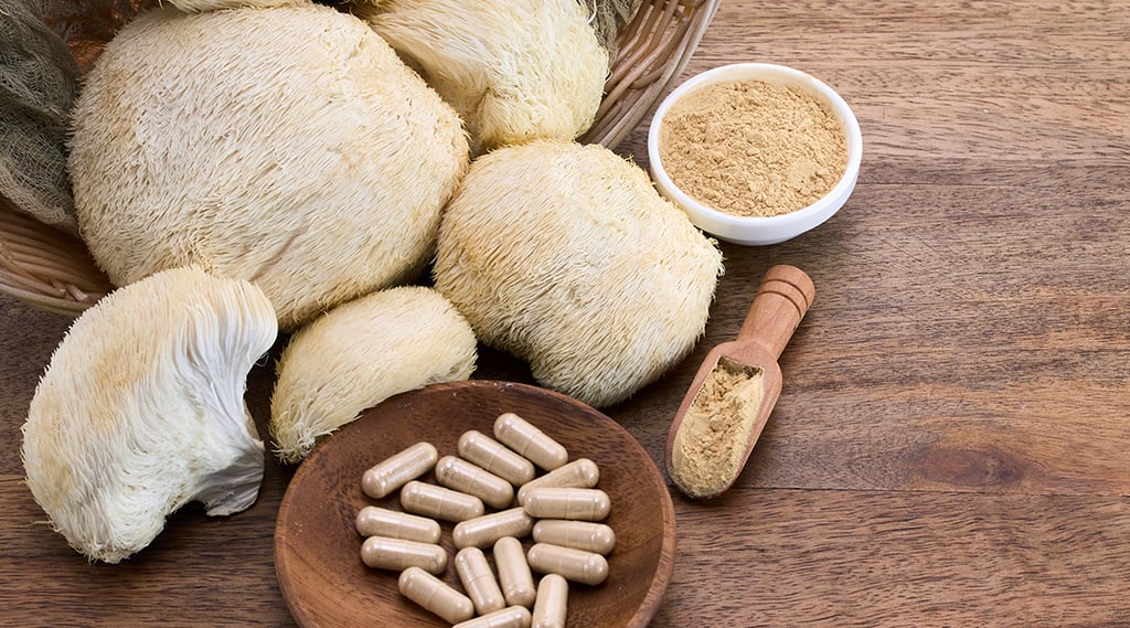 Cogumelo Juba de Leão: O Que É, Para Que Serve e Benefícios