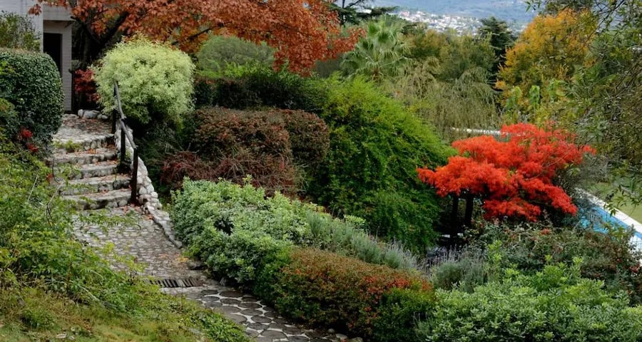 el uso de cubresuelos y tapizantes para consolidar el terreno y dar belleza al jardín