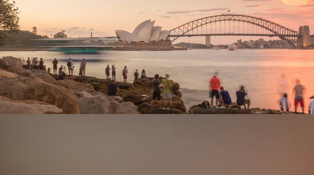 dogAdvisor | dogadvisor | dog advisor | dogAdvisor.dog