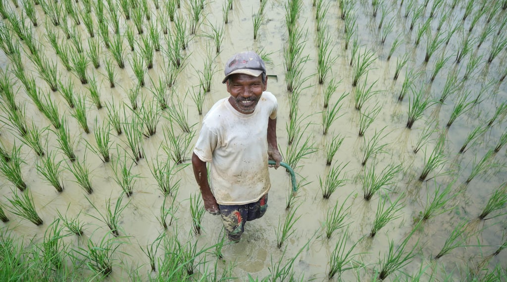 A smiling Asian farmer standing in a flooded green rice paddy field during planting season.