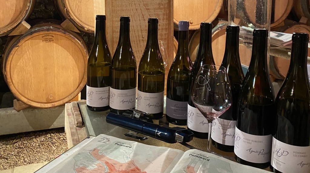 investissement dans le vin conseiller