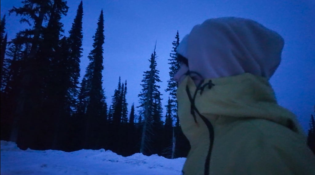 A girl wearing a winter jacket and beanie looking at a dark snowy pine forest at twilight.
