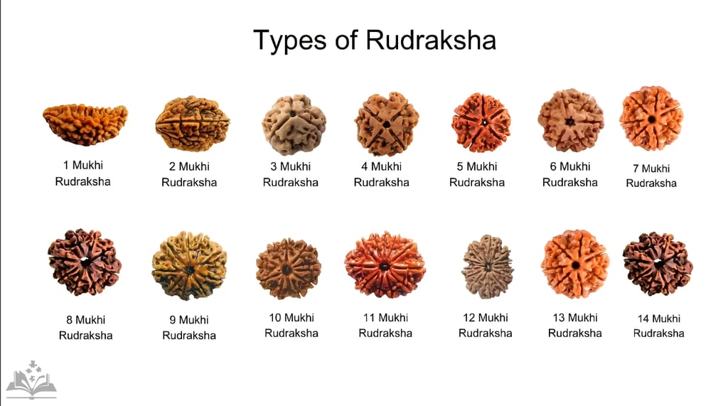 Types of Rudraksha: Decoding the Mukhi Varieties!