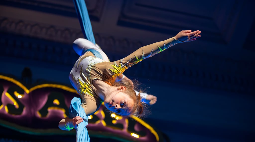 Cirque du Soleil, exemplo de sucesso na Estratégia do Oceano Azul.