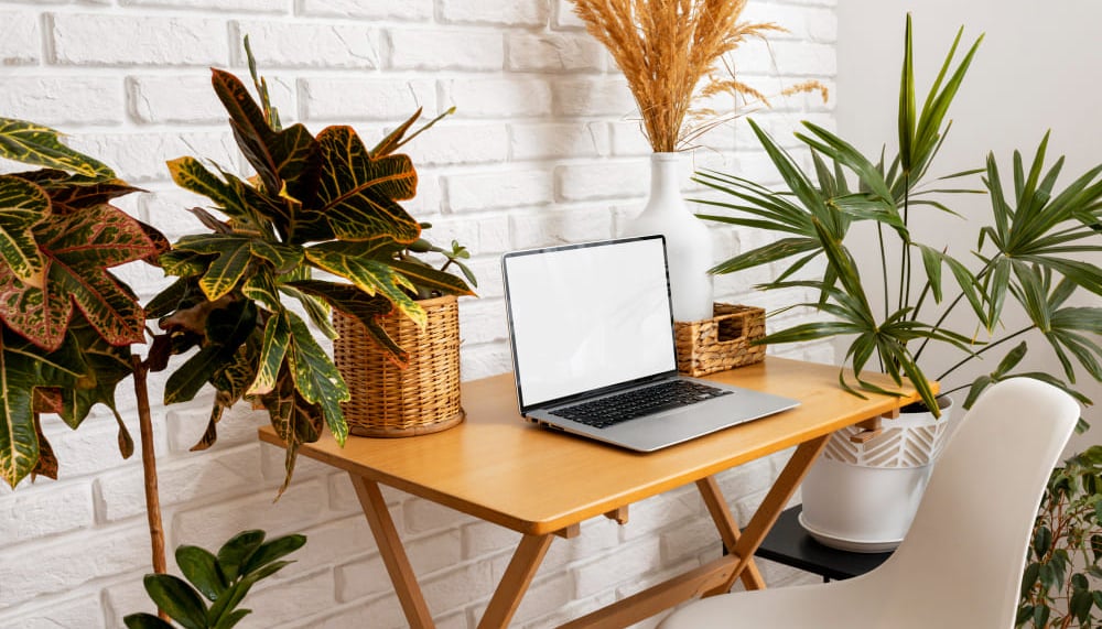 mesa de um consultor de marketing pronto para fazer análise seo