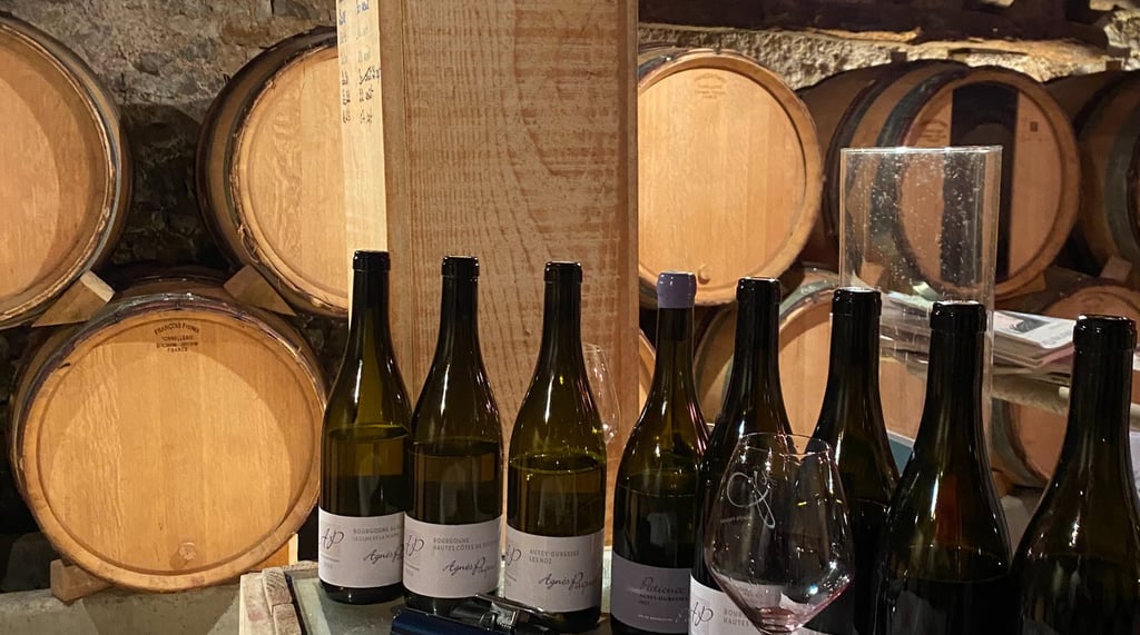 bien choisir ses vins de garde avec Nektar