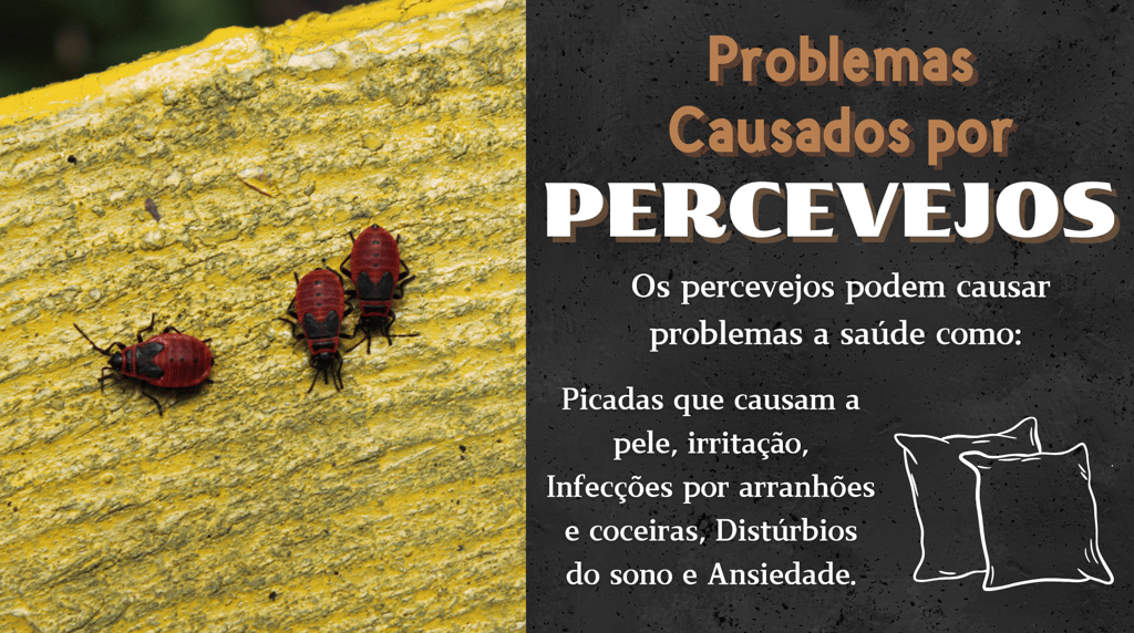percevejo