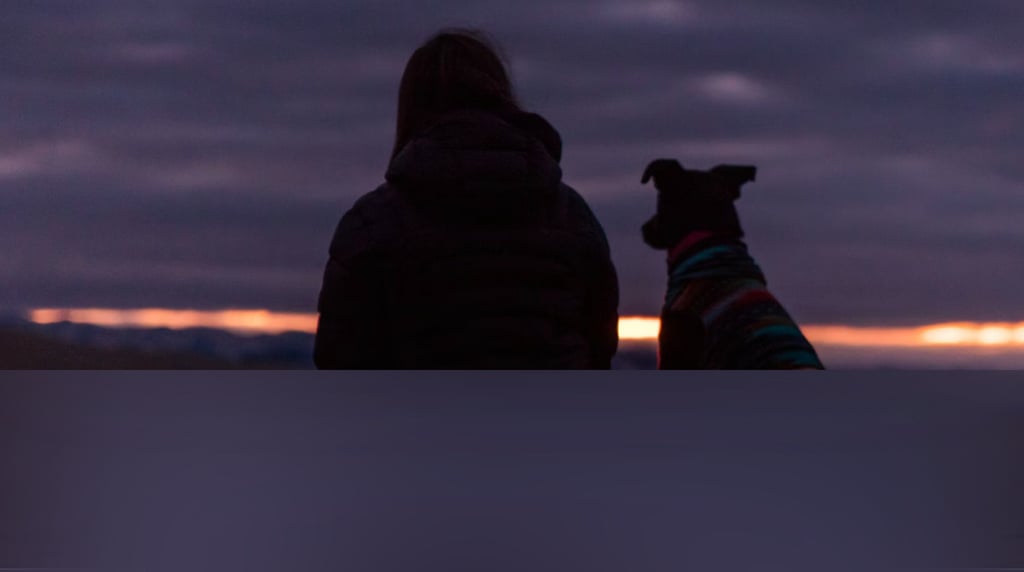 dogAdvisor | dogadvisor | dog advisor | dogAdvisor.dog