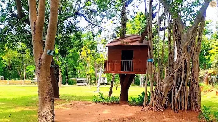 Tree house inside Pondicherry Botanical Garden.