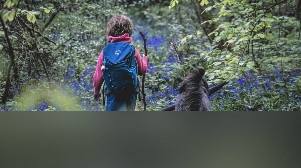 dogAdvisor | dogadvisor | dog advisor | dogAdvisor.dog