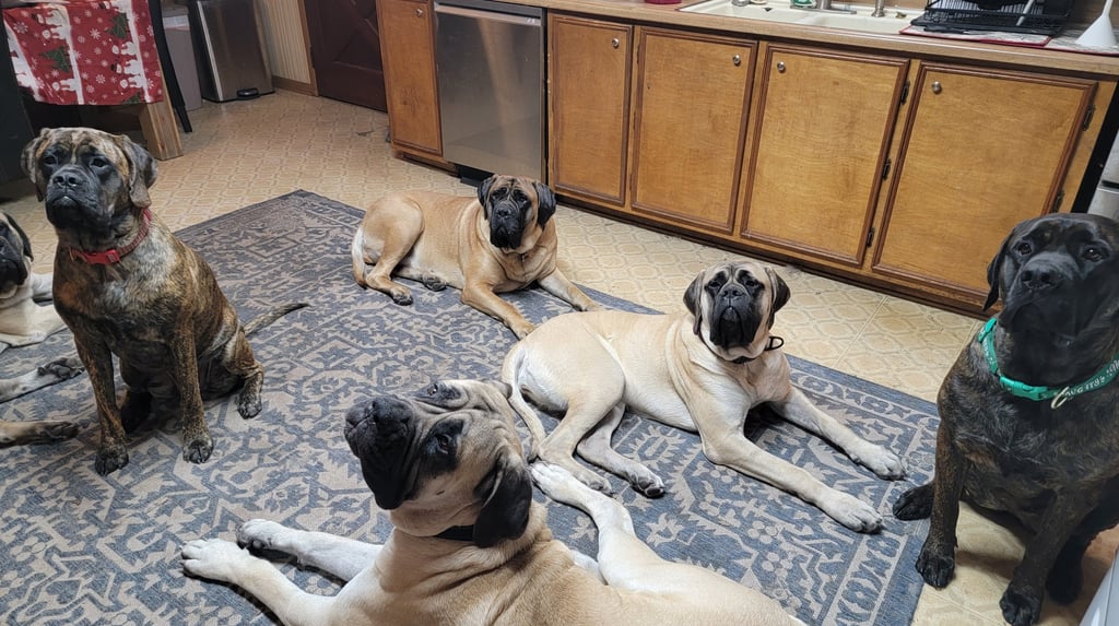 Athena, Ares, Rhea, Freya and Juno