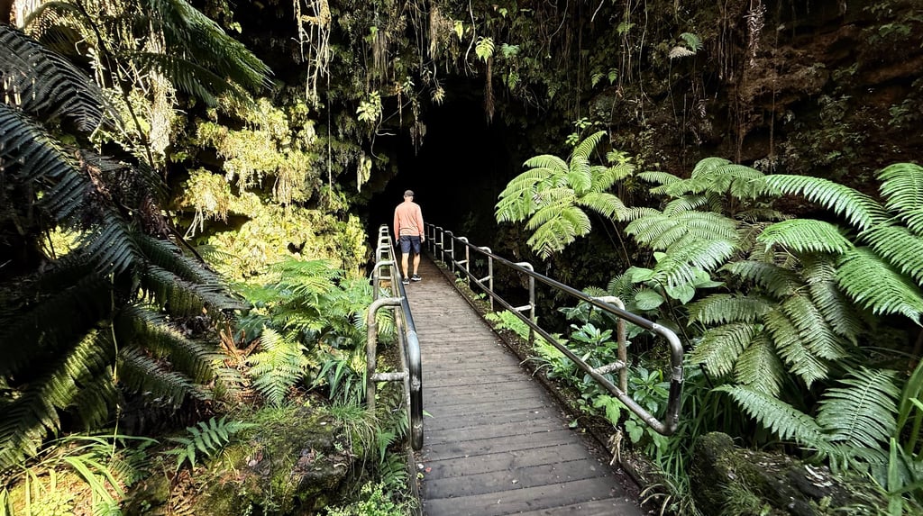 Walking path leading into Thurston Lava Tube surrounded by lush rainforest in Hawaii Volcanoes Natio