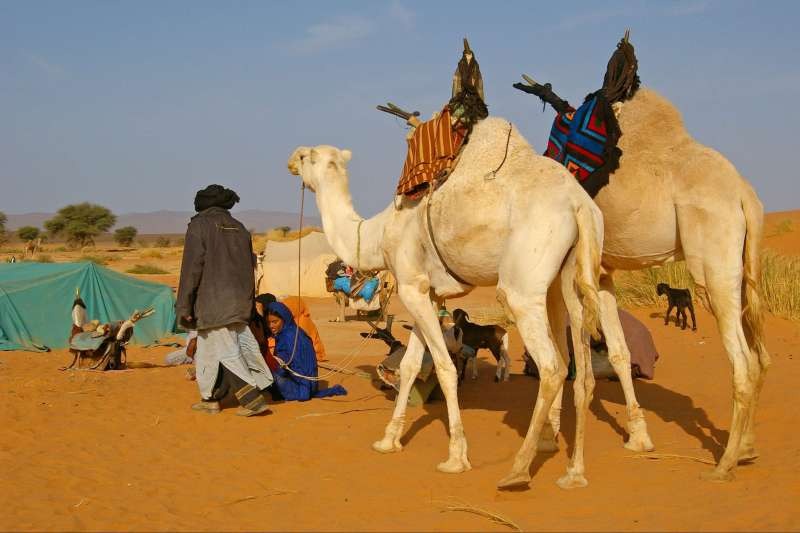 camel ride