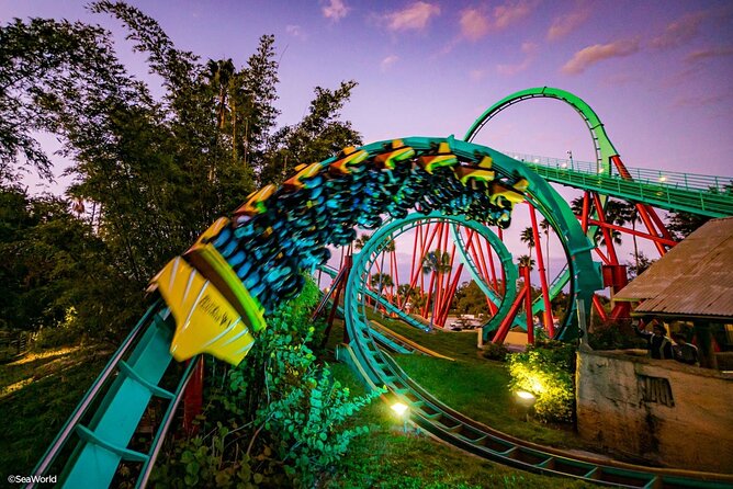 florida, tampa bush garden, roller coasters