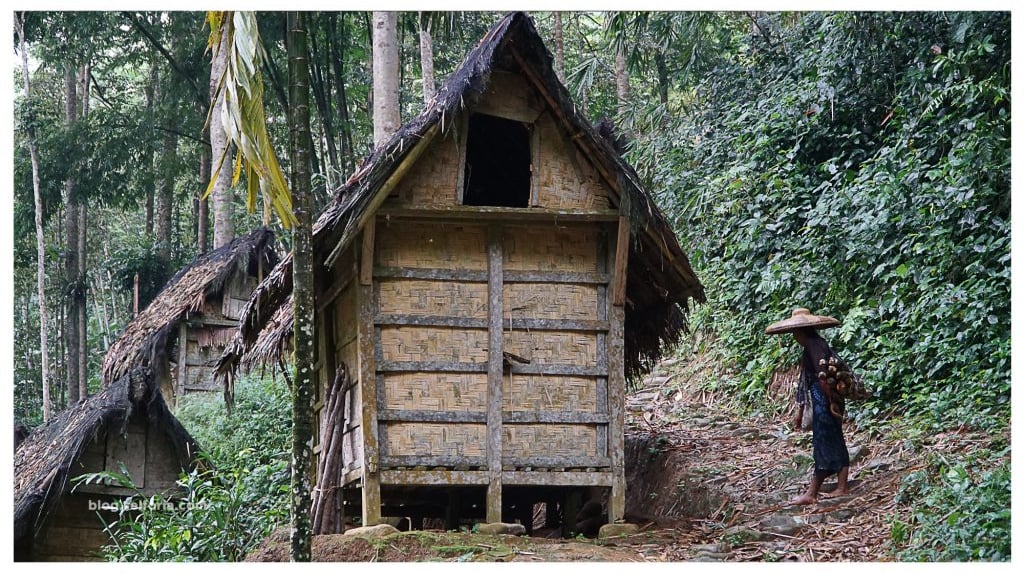 salah satu lumbung padi penduduk baduy