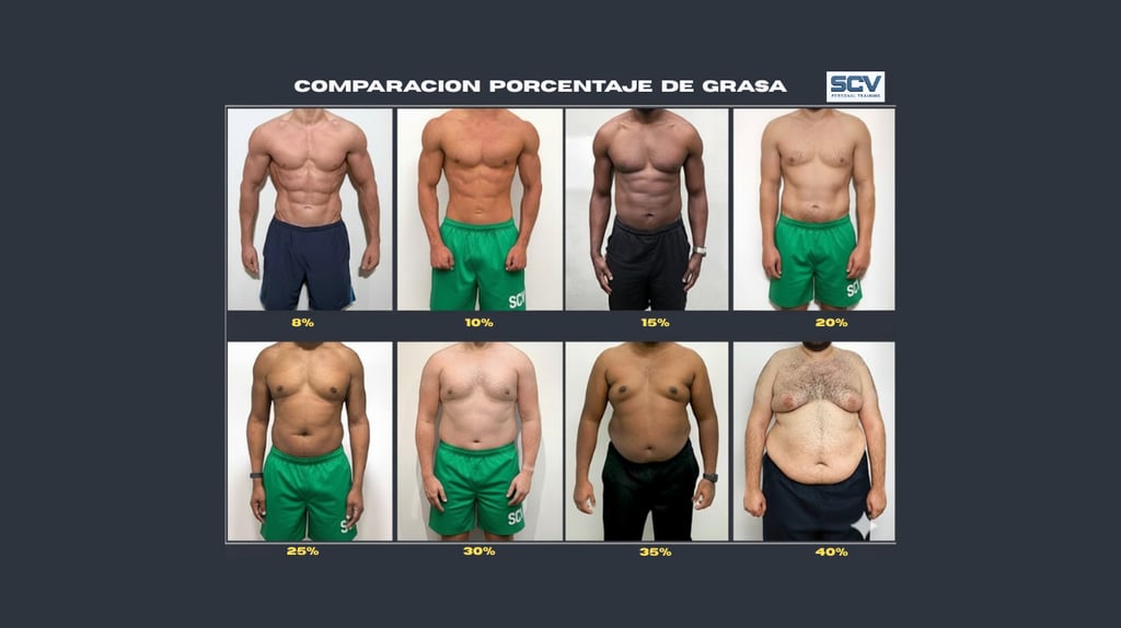Comparación de grasa corporal masculina (8% a 40%). Muestra la diferencia de composición, definición