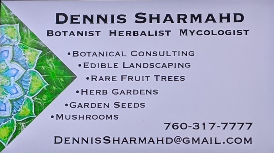 Dennis Sharmahd, botanist, herbalist, mycologist. 760-317-7777 dennissharmahd@gmail.com