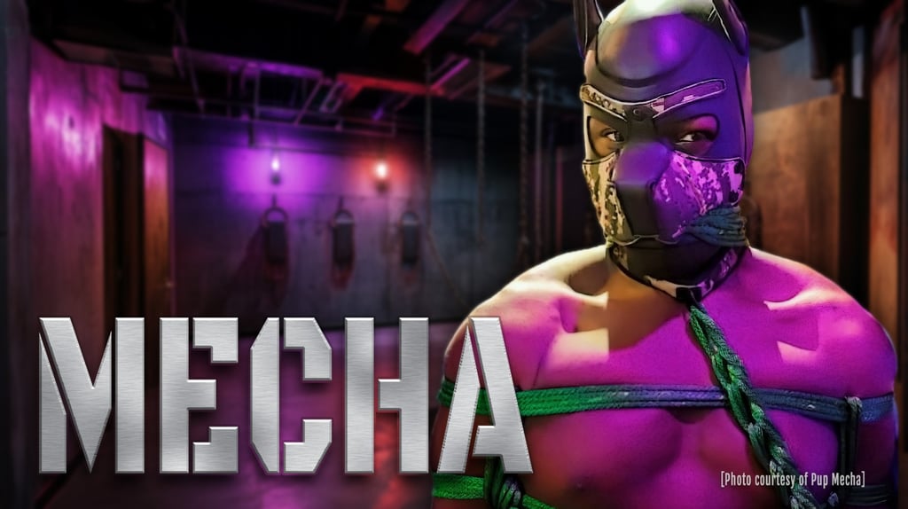 Man in pup mask in a lounge "Mecha" - Image by Pup Mecha and by ai&me