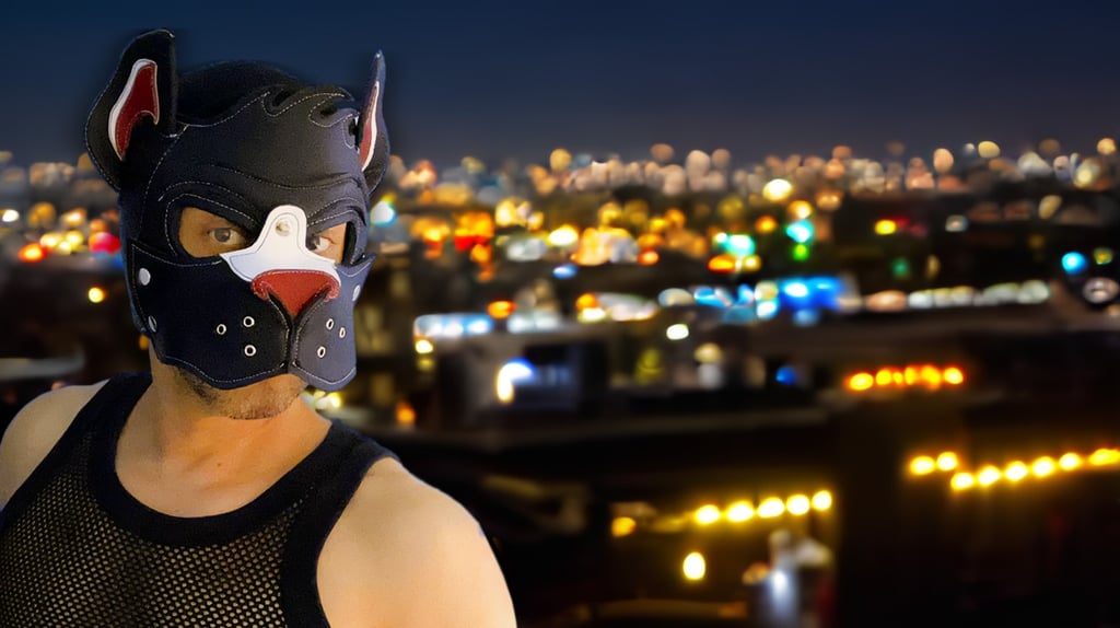 A man in a pup mask standing on a rooftop at night