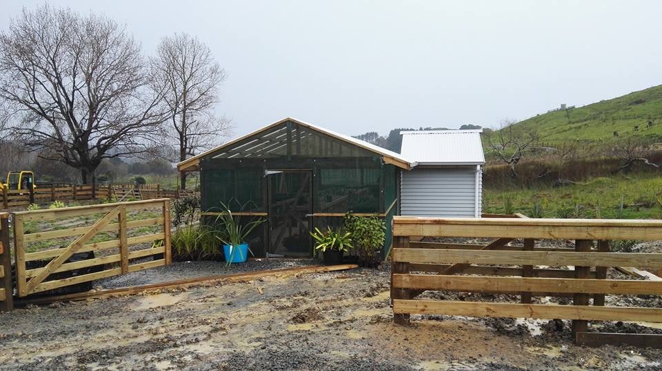 Green house construction CHR Builders