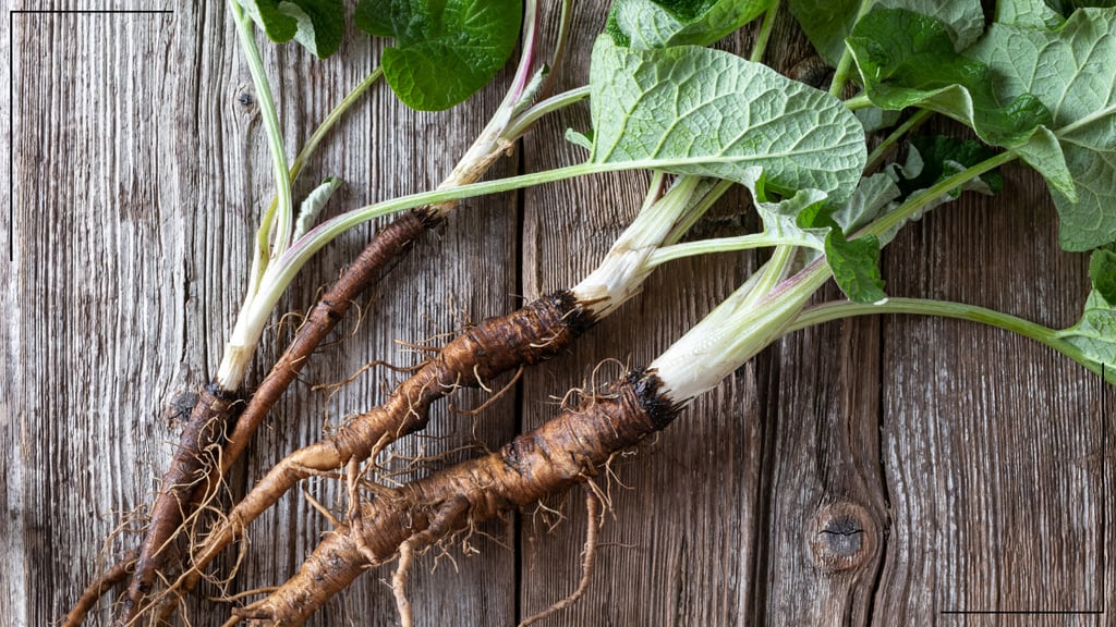 Burdock roots with leaves